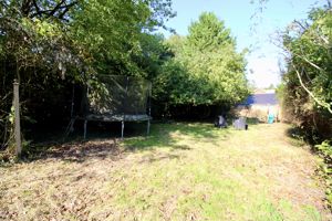 Photo 14- click for photo gallery